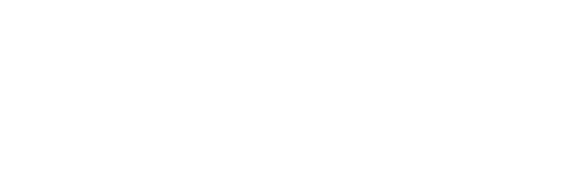 Nema International
